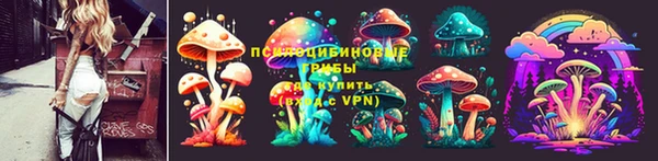 apvp Алзамай