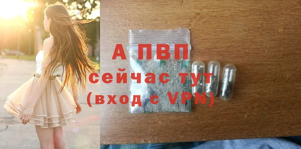 apvp Алзамай