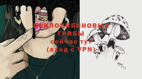 дживик Алексин