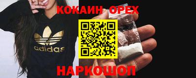 СК Новодвинск