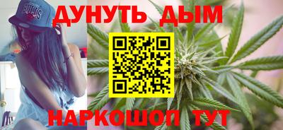 СК Новодвинск
