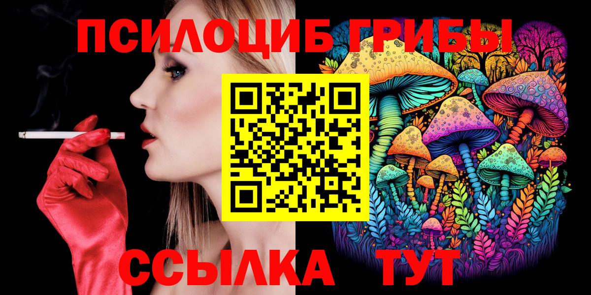 Углич  Галлюциногенные грибы MAGIC MUSHROOMS  Псилоцибиновые грибы Psilocybine cubensis  Вход с VPN 