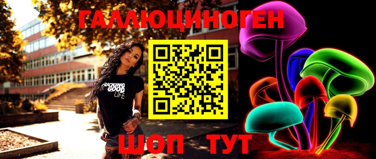 Галлюциногенные грибы Psilocybe Углич